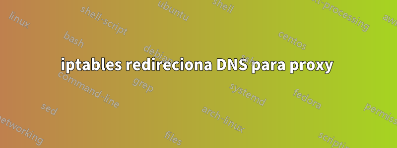 iptables redireciona DNS para proxy