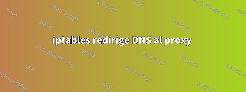 iptables redirige DNS al proxy