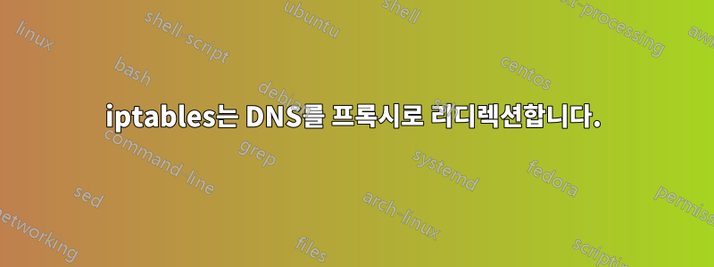 iptables는 DNS를 프록시로 리디렉션합니다.