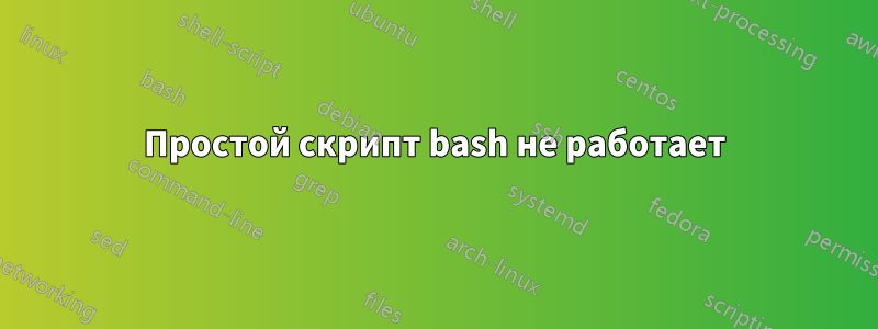 Простой скрипт bash не работает