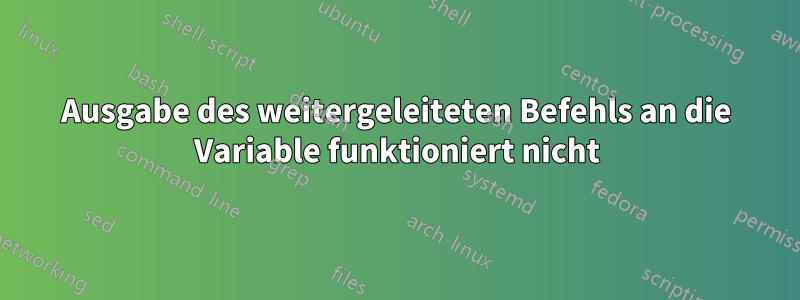 Ausgabe des weitergeleiteten Befehls an die Variable funktioniert nicht