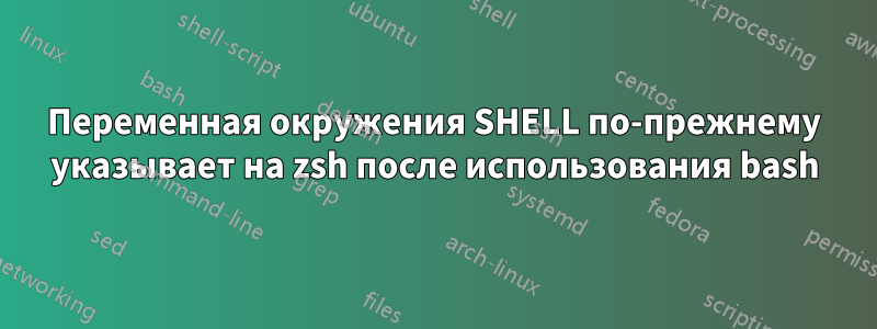 Переменная окружения SHELL по-прежнему указывает на zsh после использования bash