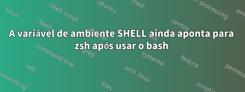 A variável de ambiente SHELL ainda aponta para zsh após usar o bash