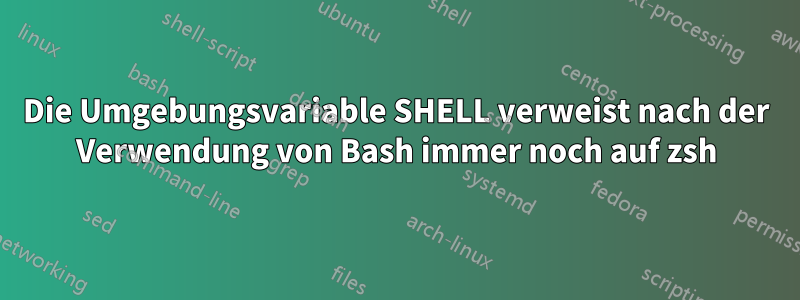 Die Umgebungsvariable SHELL verweist nach der Verwendung von Bash immer noch auf zsh