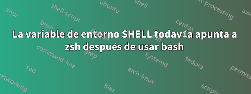 La variable de entorno SHELL todavía apunta a zsh después de usar bash