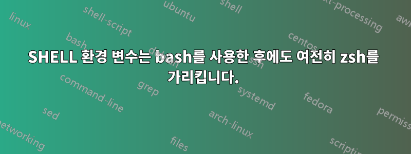 SHELL 환경 변수는 bash를 사용한 후에도 여전히 zsh를 가리킵니다.