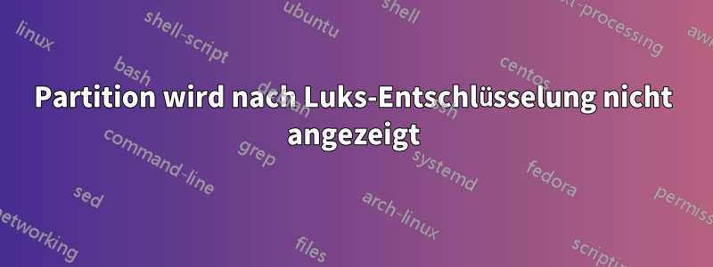 Partition wird nach Luks-Entschlüsselung nicht angezeigt