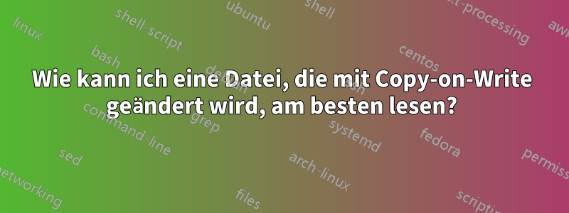 Wie kann ich eine Datei, die mit Copy-on-Write geändert wird, am besten lesen?