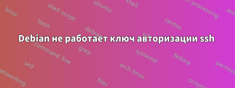 Debian не работает ключ авторизации ssh