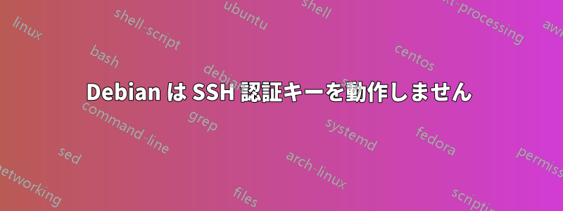 Debian は SSH 認証キーを動作しません