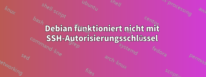 Debian funktioniert nicht mit SSH-Autorisierungsschlüssel