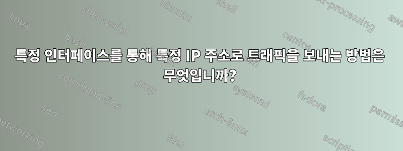 특정 인터페이스를 통해 특정 IP 주소로 트래픽을 보내는 방법은 무엇입니까?