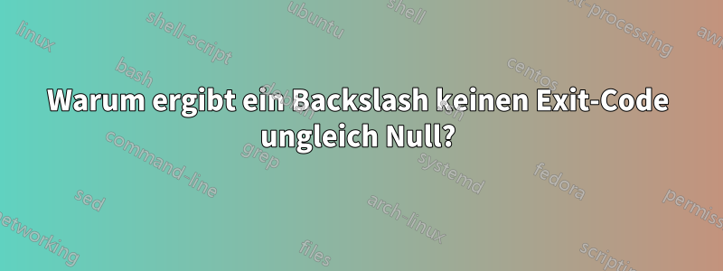 Warum ergibt ein Backslash keinen Exit-Code ungleich Null?