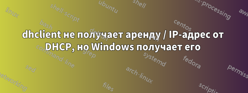 dhclient не получает аренду / IP-адрес от DHCP, но Windows получает его