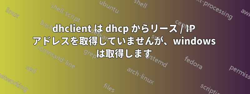 dhclient は dhcp からリース / IP アドレスを取得していませんが、windows は取得します