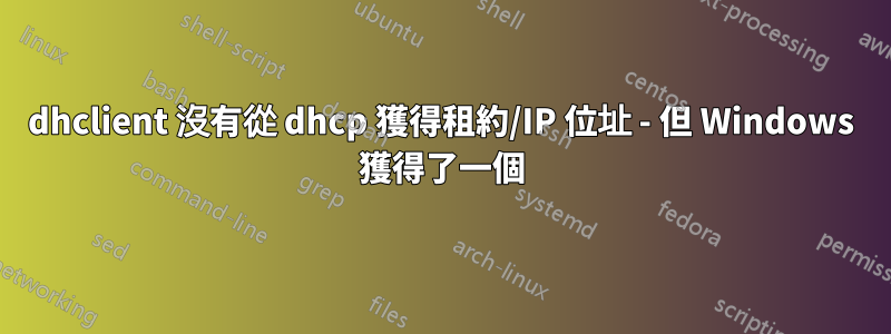 dhclient 沒有從 dhcp 獲得租約/IP 位址 - 但 Windows 獲得了一個