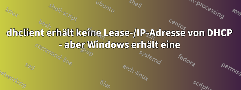 dhclient erhält keine Lease-/IP-Adresse von DHCP - aber Windows erhält eine