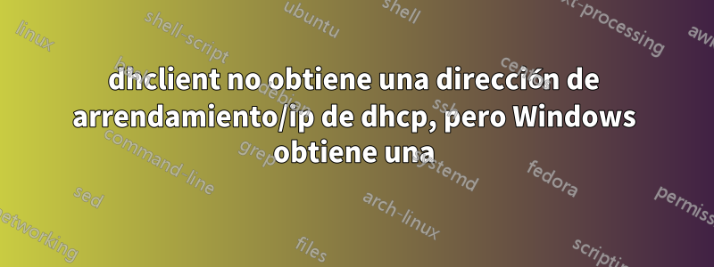 dhclient no obtiene una dirección de arrendamiento/ip de dhcp, pero Windows obtiene una