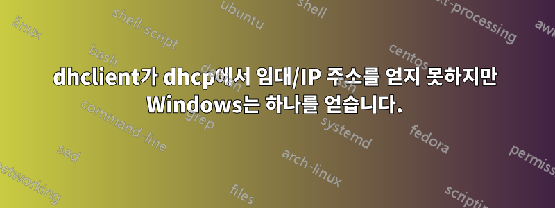 dhclient가 dhcp에서 임대/IP 주소를 얻지 못하지만 Windows는 하나를 얻습니다.