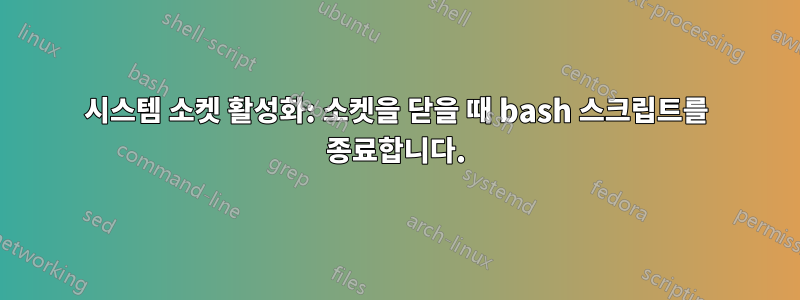 시스템 소켓 활성화: 소켓을 닫을 때 bash 스크립트를 종료합니다.