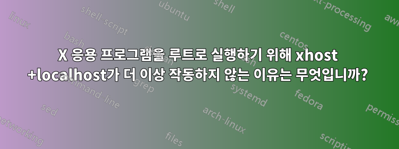 X 응용 프로그램을 루트로 실행하기 위해 xhost +localhost가 더 이상 작동하지 않는 이유는 무엇입니까?