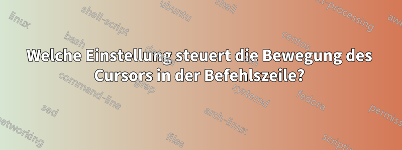 Welche Einstellung steuert die Bewegung des Cursors in der Befehlszeile?