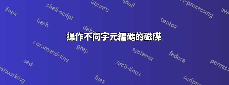 操作不同字元編碼的磁碟