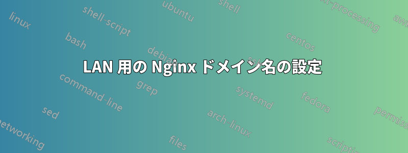 LAN 用の Nginx ドメイン名の設定