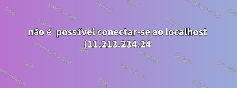 não é possível conectar-se ao localhost (11.213.234.24) na porta 9200 do vagrant