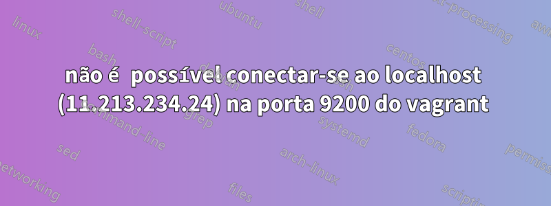 não é possível conectar-se ao localhost (11.213.234.24) na porta 9200 do vagrant