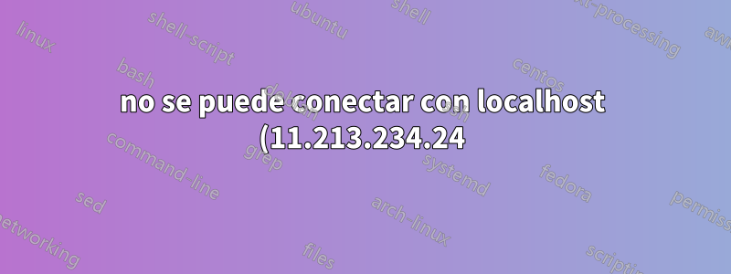 no se puede conectar con localhost (11.213.234.24) en el puerto 9200 desde vagrant