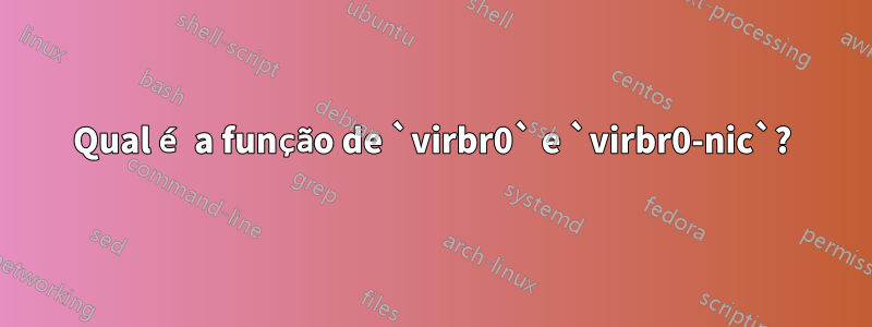 Qual é a função de `virbr0` e `virbr0-nic`?