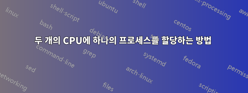 두 개의 CPU에 하나의 프로세스를 할당하는 방법