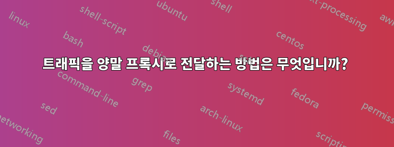 트래픽을 양말 프록시로 전달하는 방법은 무엇입니까?