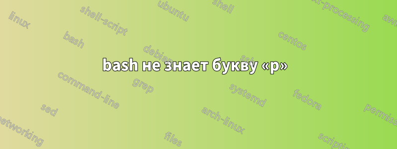 bash не знает букву «p» 