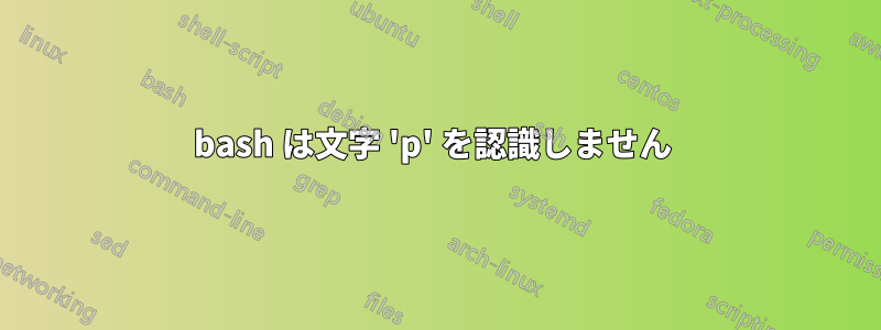 bash は文字 'p' を認識しません 