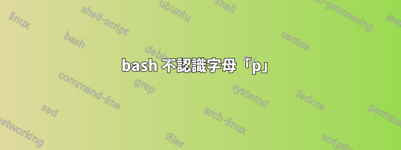 bash 不認識字母「p」