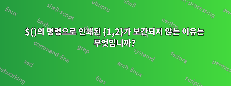 $()의 명령으로 인쇄된 {1,2}가 보간되지 않는 이유는 무엇입니까?