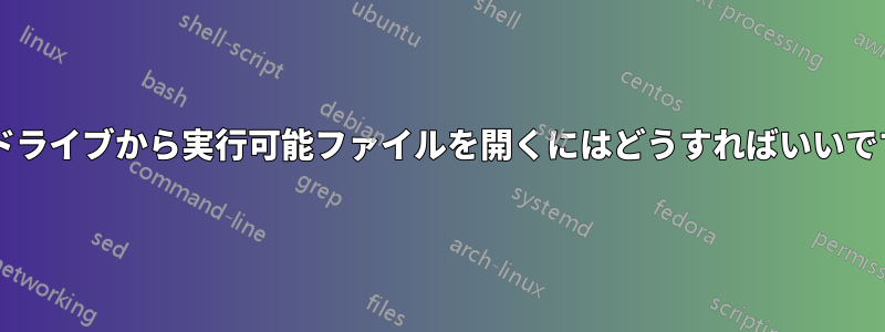 ペンドライブから実行可能ファイルを開くにはどうすればいいですか?