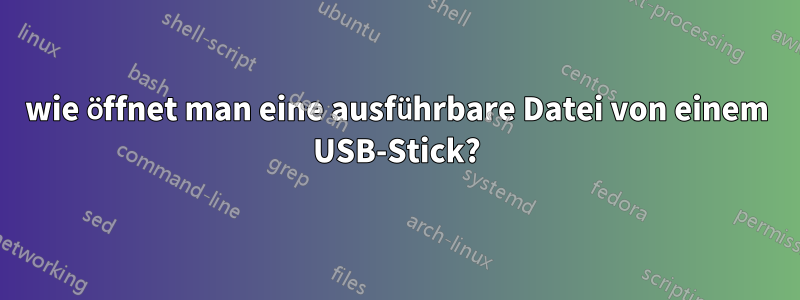 wie öffnet man eine ausführbare Datei von einem USB-Stick?