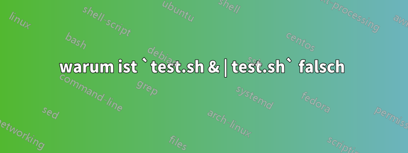 warum ist `test.sh & | test.sh` falsch