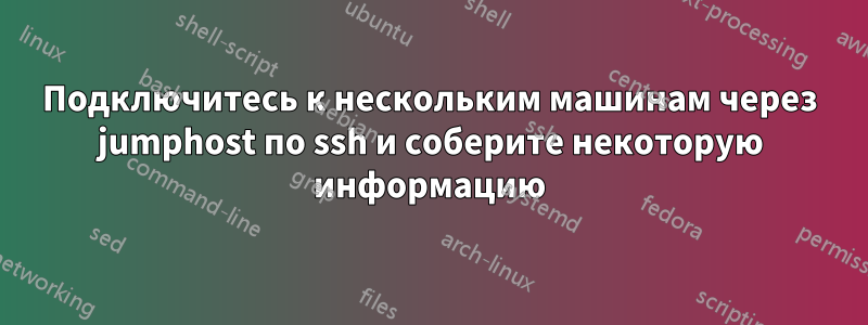 Подключитесь к нескольким машинам через jumphost по ssh и соберите некоторую информацию