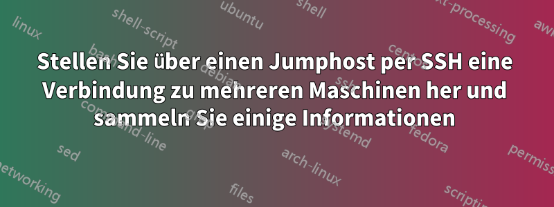 Stellen Sie über einen Jumphost per SSH eine Verbindung zu mehreren Maschinen her und sammeln Sie einige Informationen