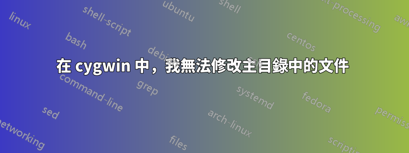 在 cygwin 中，我無法修改主目錄中的文件