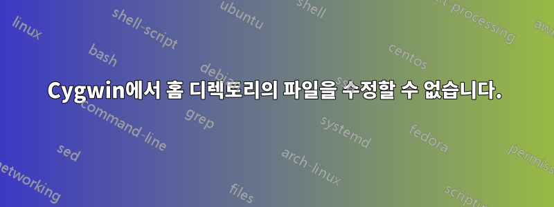 Cygwin에서 홈 디렉토리의 파일을 수정할 수 없습니다.