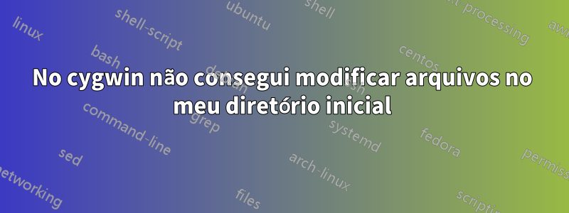 No cygwin não consegui modificar arquivos no meu diretório inicial