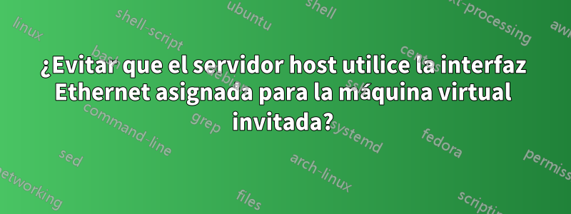 ¿Evitar que el servidor host utilice la interfaz Ethernet asignada para la máquina virtual invitada?