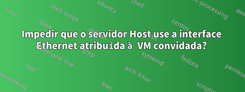 Impedir que o servidor Host use a interface Ethernet atribuída à VM convidada?