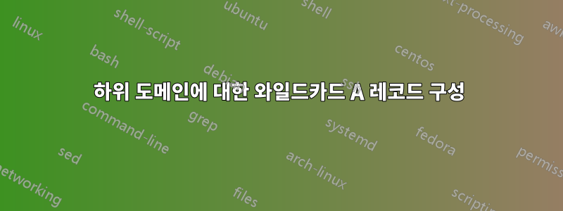 하위 도메인에 대한 와일드카드 A 레코드 구성