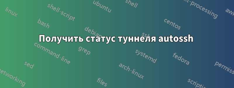 Получить статус туннеля autossh